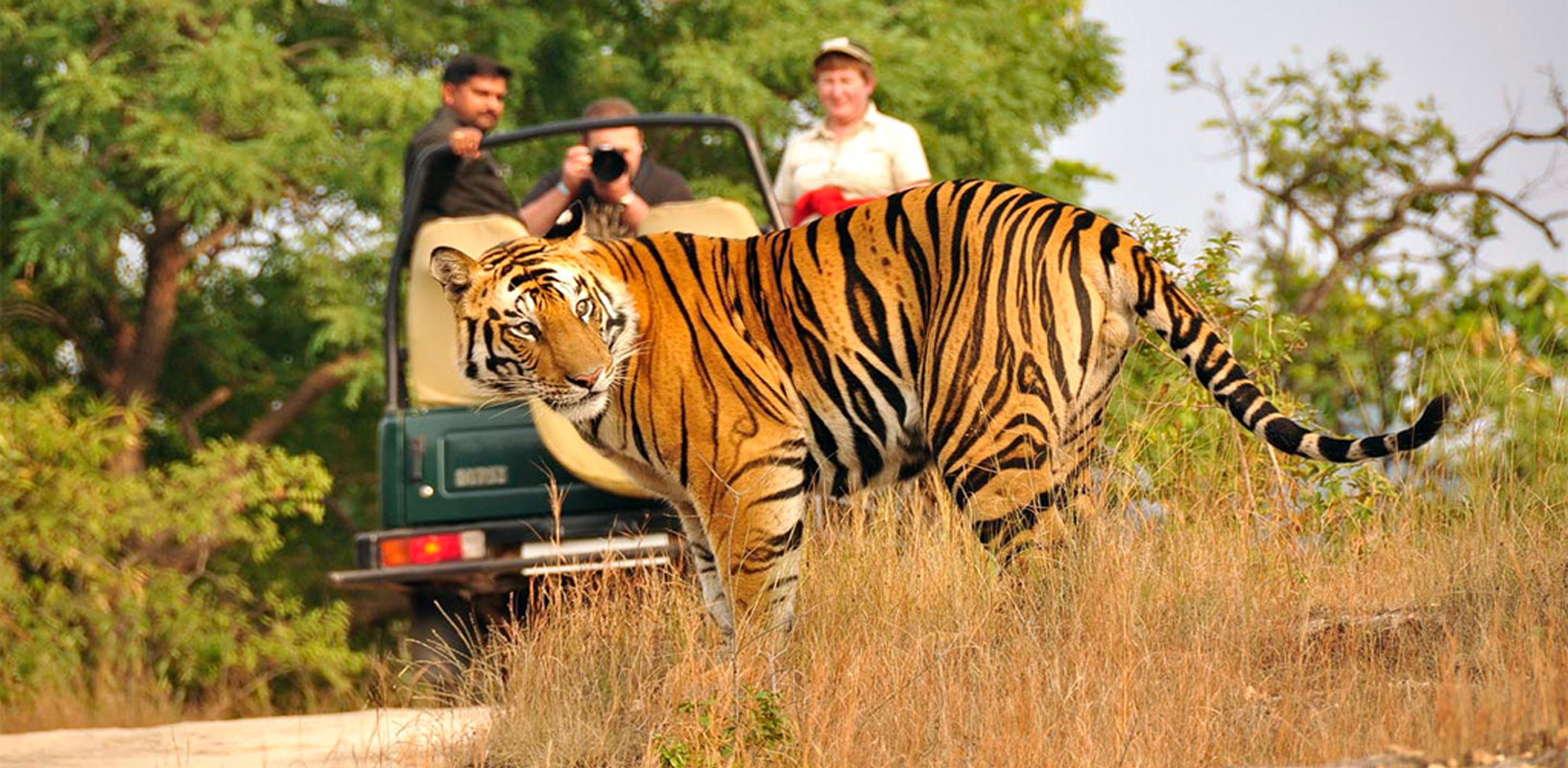 dmholidays.in-jim-corbett-tour-package